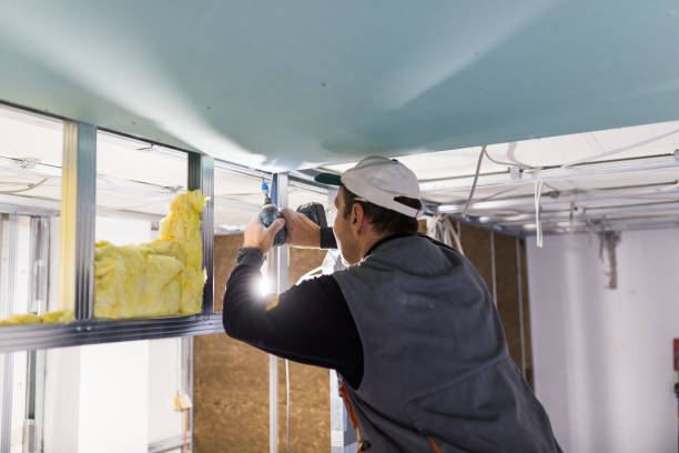 Best Insulation for New Construction  in Southmont, PA