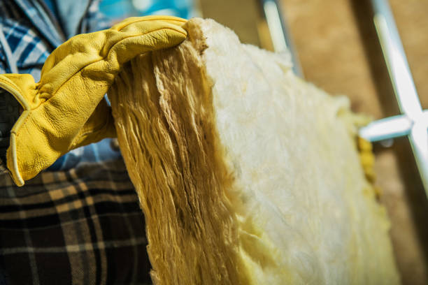Best Local Insulation Services  in Southmont, PA