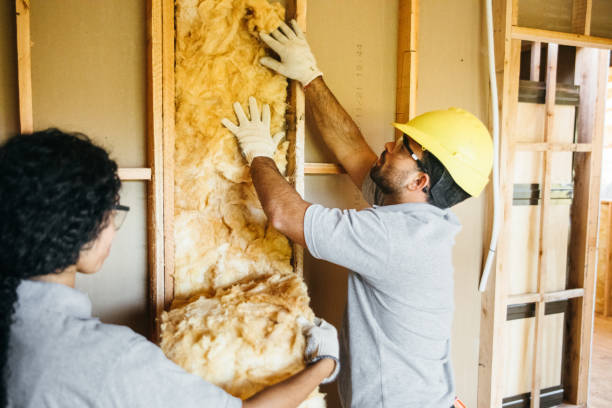Best Insulation Removal Services  in Southmont, PA