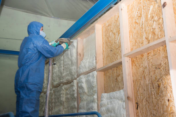 Best Home Insulation Services  in Southmont, PA